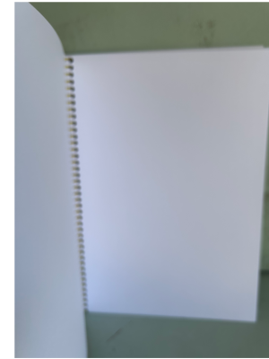 Interior libreta